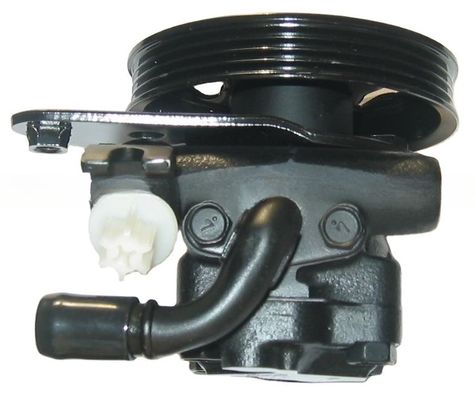 21G72145 pompe de direction assistée pour Nissan Maxima A31 A32 Remplacement parfait