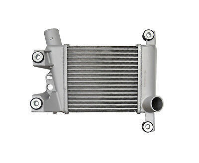 Le refroidisseur intermédiaire N250-03O pour NISSAN URVAN E25 14461-VM00A NP300 2.5TDI 2008 Meilleure performance